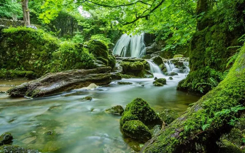 高效智能系统
